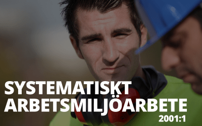 Systematiskt arbetsmiljöarbete – 2001:1